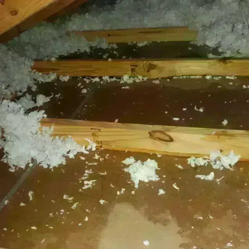 Attic Water Damage in Redstone Arsenal, AL